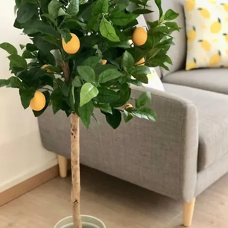 Yellow Lemon Tree - Centre - Parking Lille